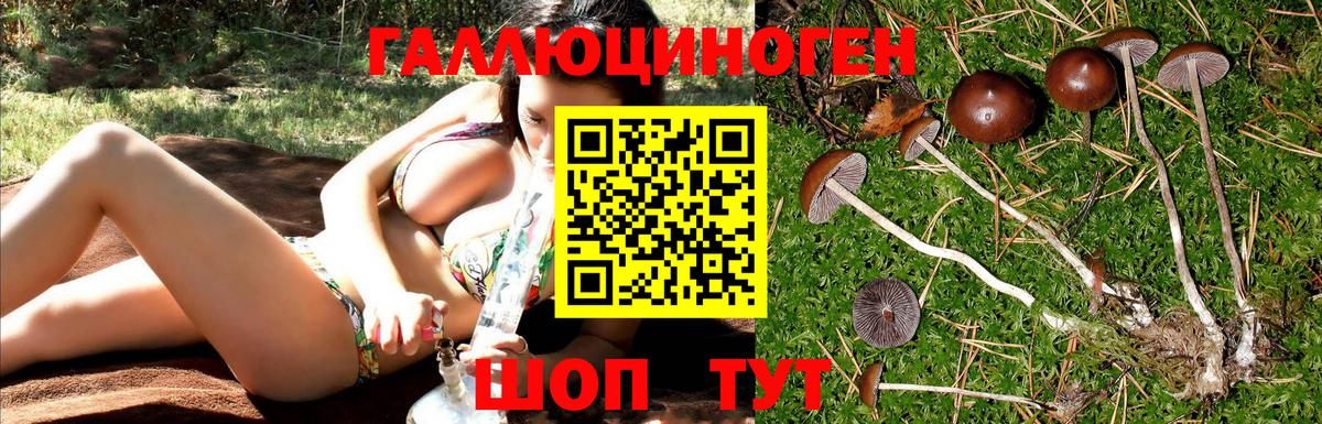 Галлюциногенные грибы ЛСД  Вход с VPN  Пугачёв 